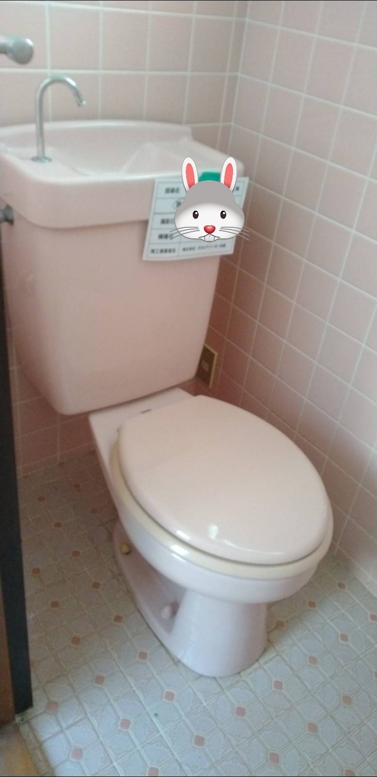 オカムラ・トーヨー住器のトイレ改修工事　こどもエコ支援事業の施工前の写真1