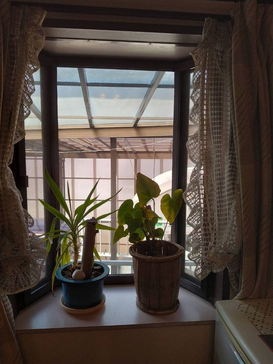 オカムラ・トーヨー住器の家中の窓　内窓インプラスの施工前の写真3